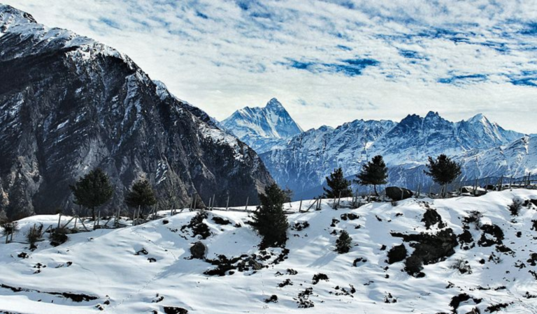 Gurso Bugyal in Auli